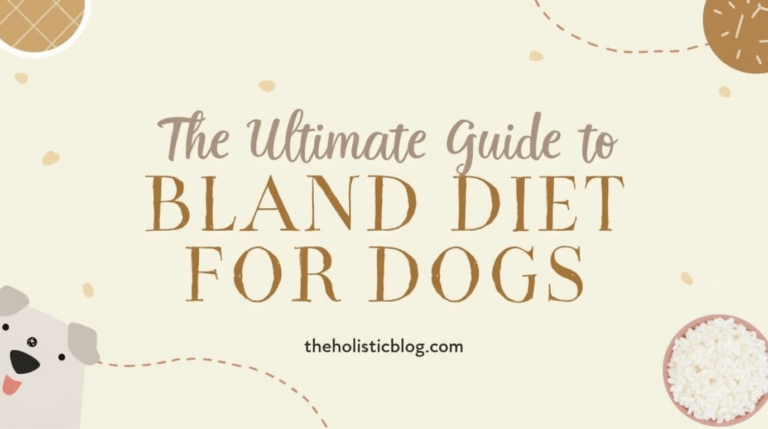 bland diet for dogs