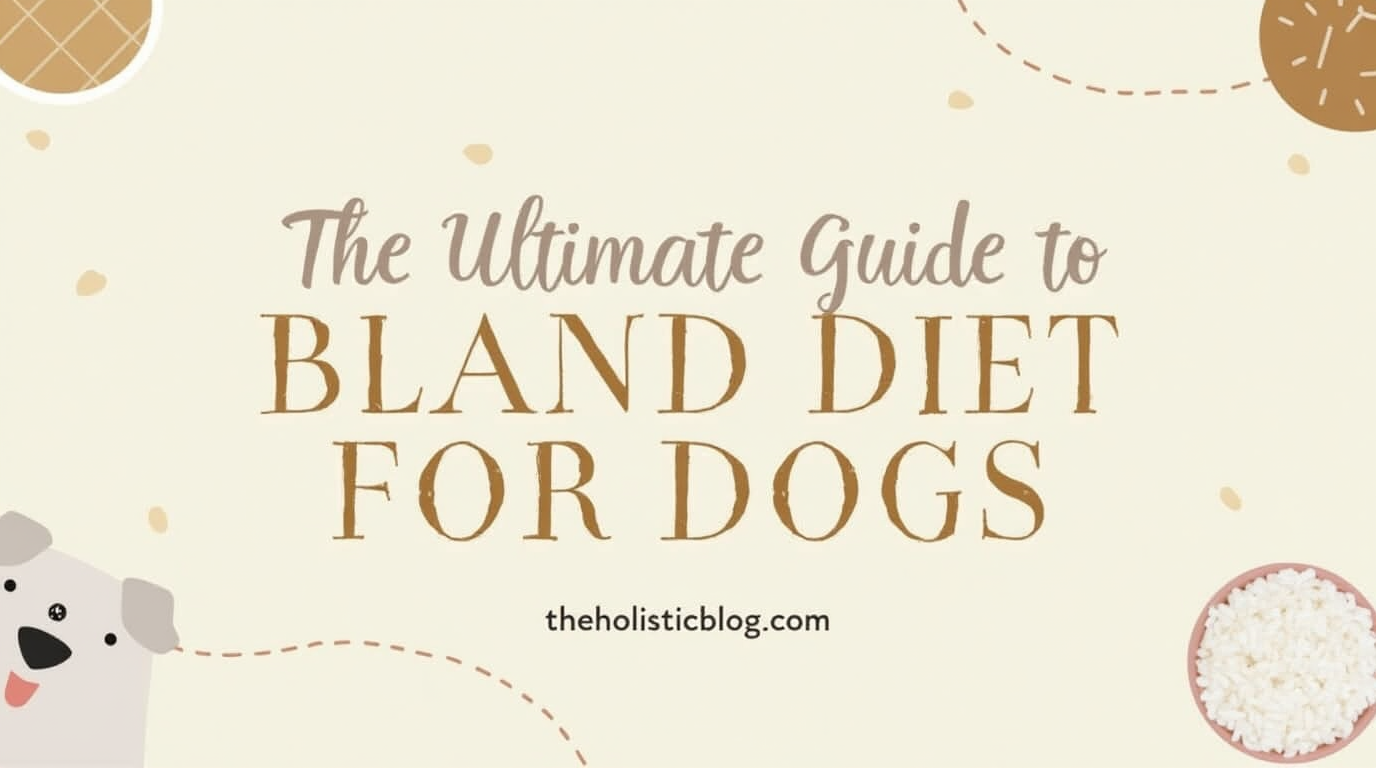 bland diet for dogs