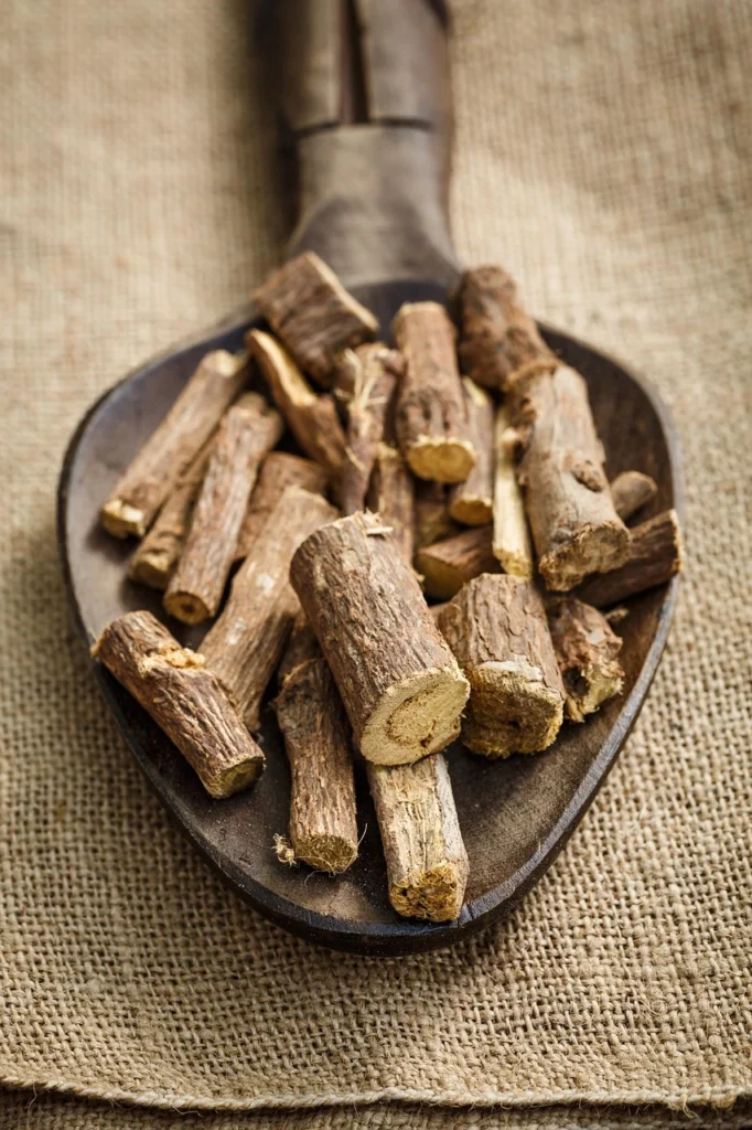 Natural Anti-Inflammatory for Dogs