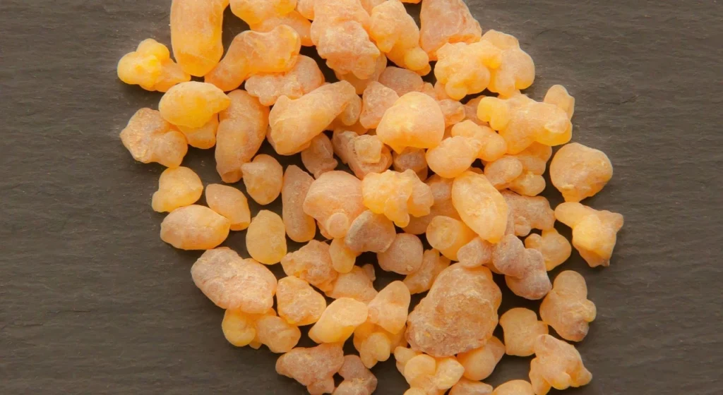 Natural Anti-Inflammatory for Dogs
