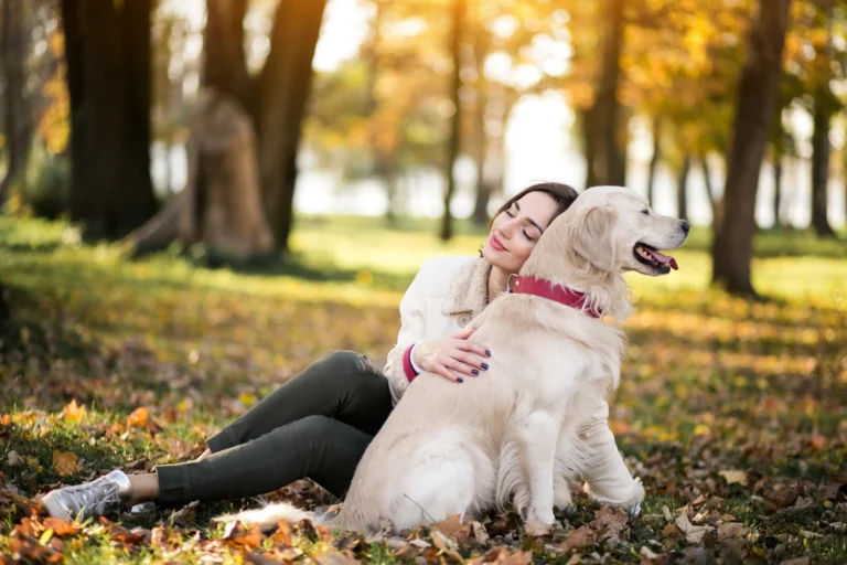 5 Powerful Immune Support for Dogs: Tips for Better Health