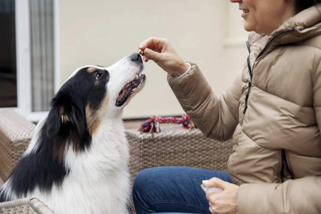 best probiotics for dogs